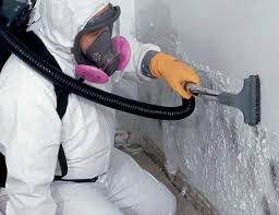 Best Mold Removal for HVAC Installations in Arlington, OH